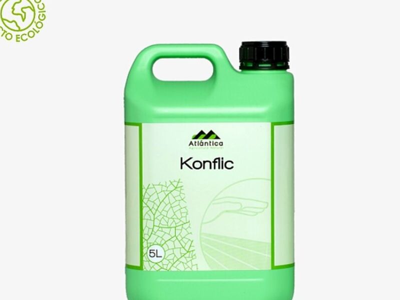 Konflic Guatemala 