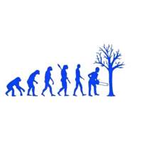 Tala Profesional de árboles 