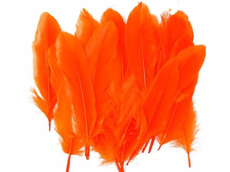 PLUMAS FAST GRANDES BOLSA GUATEMALA 