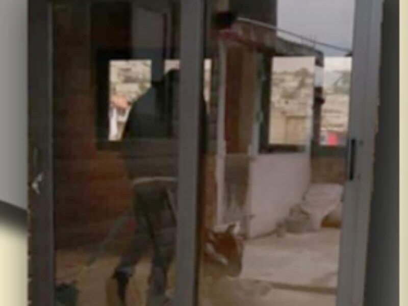 ventana de aluminio Ask Guatemala