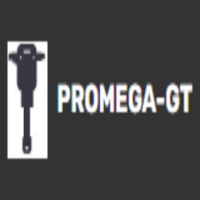 Promega GT