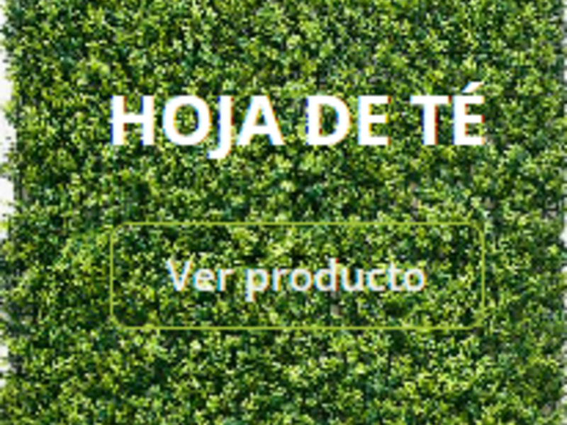 Reevestimiento de pared Hoja de té Guatemala