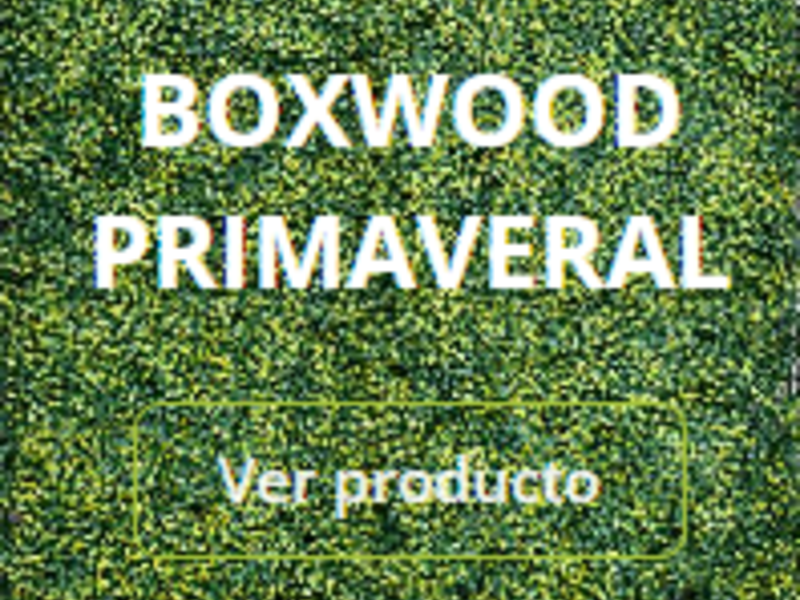 Revestimiento Boxwood Guatemala