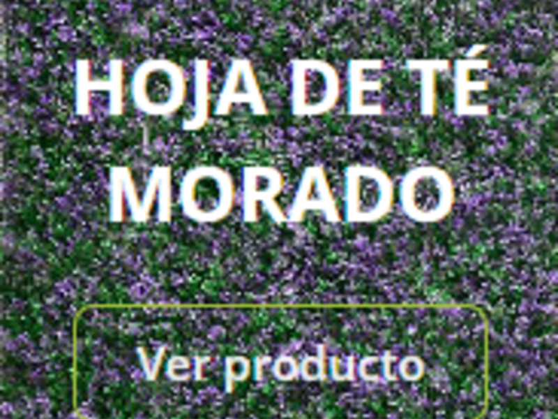 Revestimiento hoja de té morado Guatemala