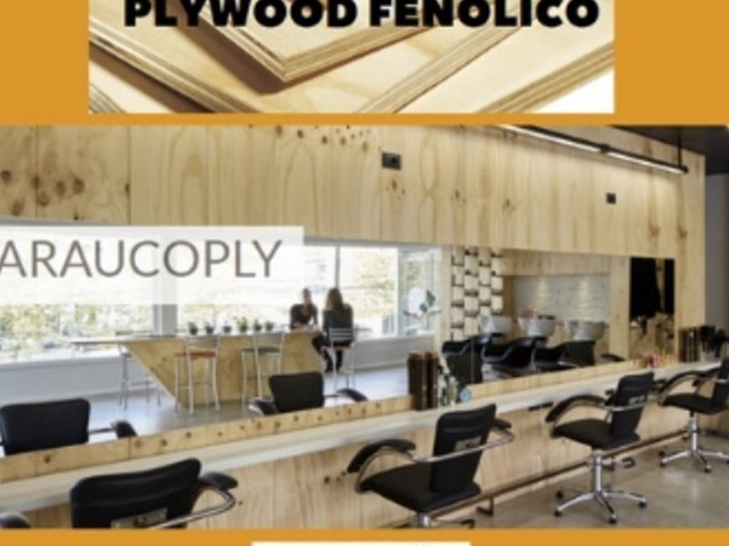 Muebles para oficina de Plywood Fenólico 
