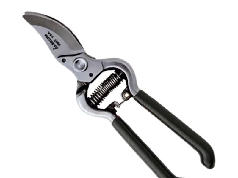 Tijera para podar bellota en guatemala