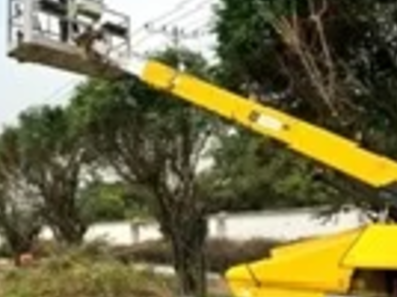 Elevador de brazo telescópico Guatemala