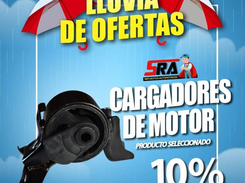 Cargadores de motor Escuintla