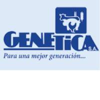 Genetica Guatemala