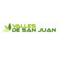 VSJ