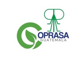 Coprasa