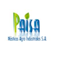 Paisa