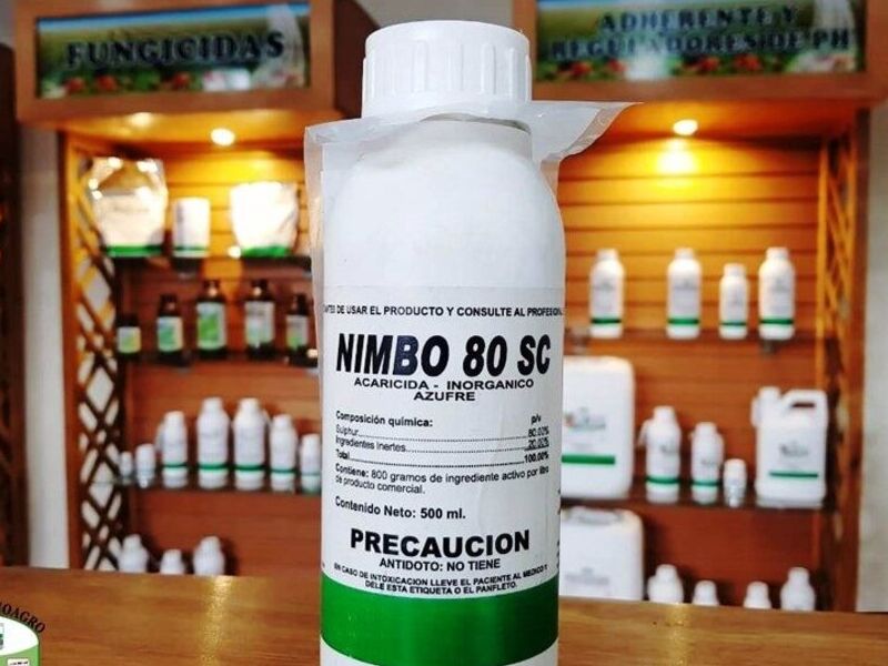 Fungicida preventivo Guatemala