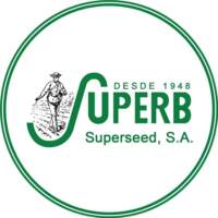 Superb Superseed Guatemala