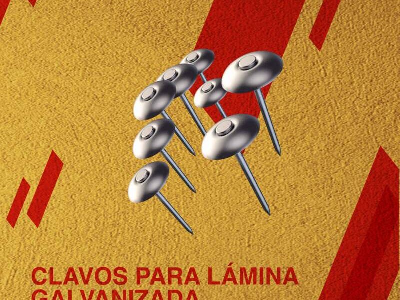 Clavos para lamina Dep. Guatemala