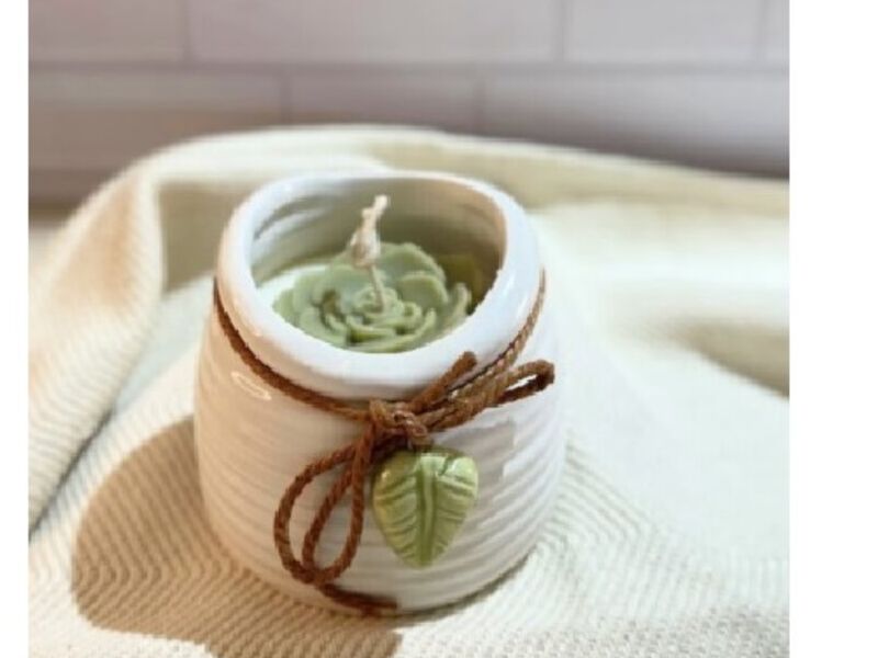 Vela Decorativa Suculenta Guatemala