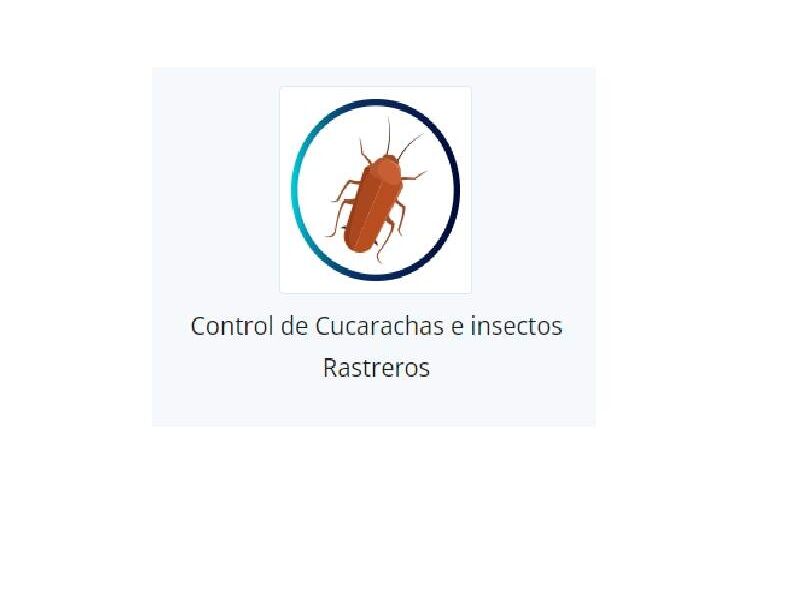 Control de cucrachas e insectos  Guatemala