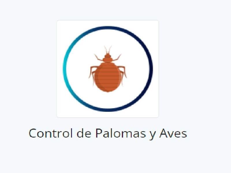 Control de Palomas y Aves Guatemala