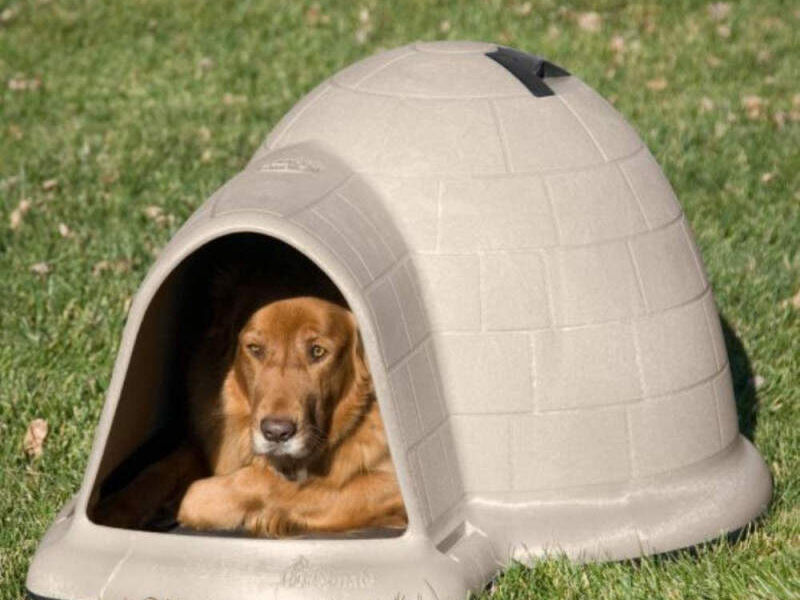 CASA PARA PERROS INDIGO GUATEMALA