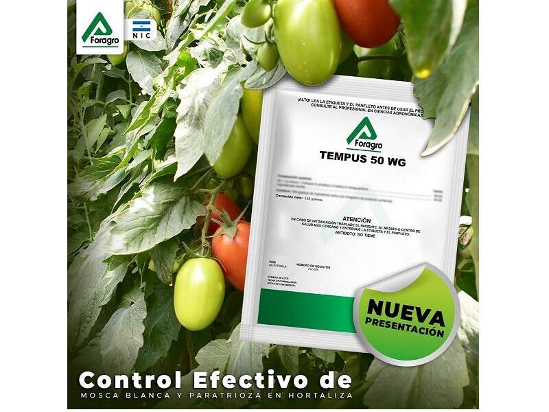 Insecticida TEMPUS 50 WG Guatemala