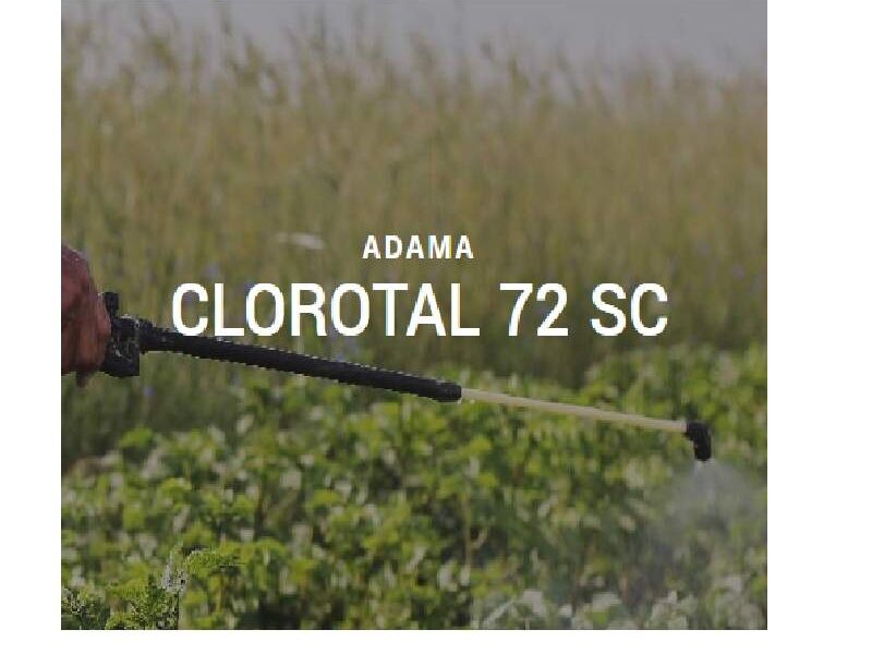 CLOROTAL 72 SC Guatemala