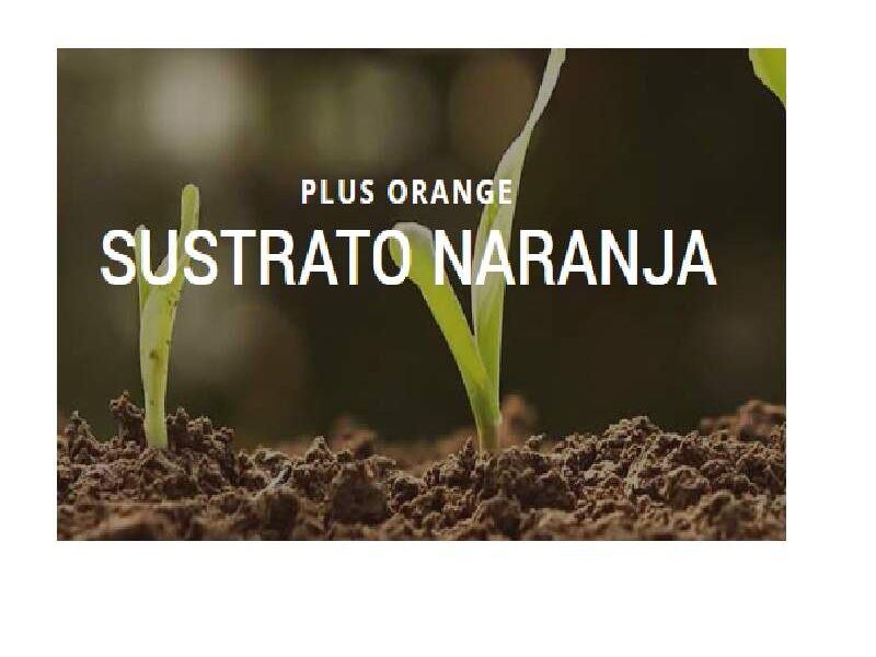 PLUS ORANGE  SUSTRATO NARANJA Guatemala