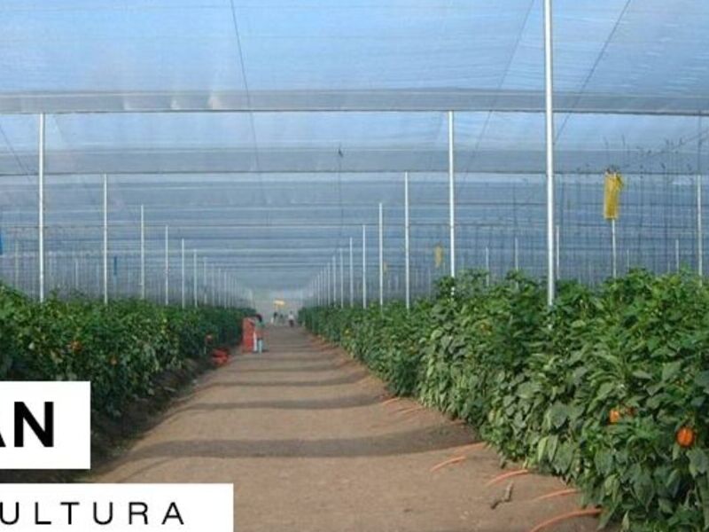 Sarán de agricultura Acrear Guatemala