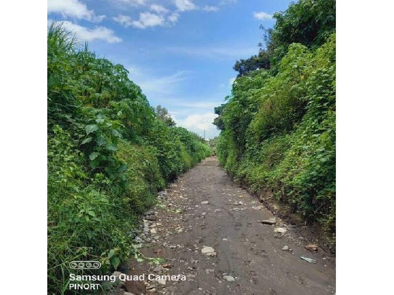 Chapeo y limpieza de terreno Guatemala