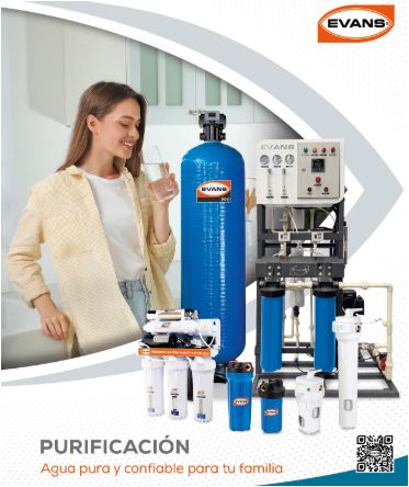 PURIFICACION