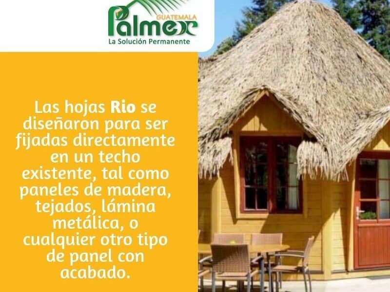 Hojas de Rio Palmex Kanajuyu