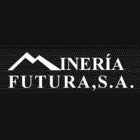 Minería Futura