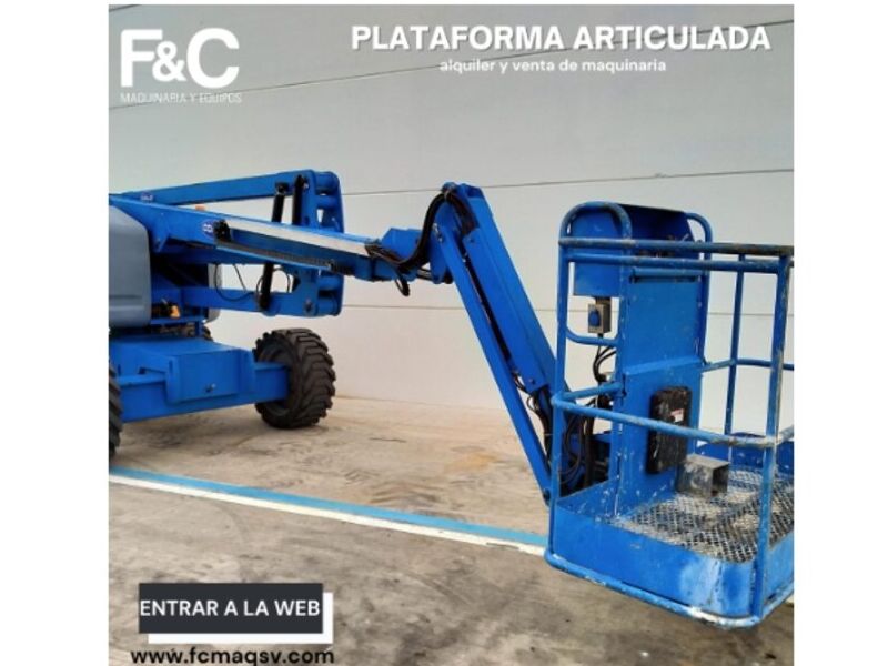 Plataforma Telescópica  Guatemala FyC