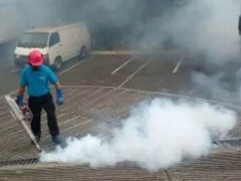 Sistema de termo niebla Guatemala  