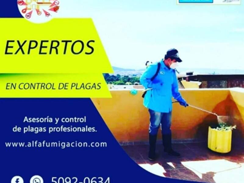 Control de plagas Guatemala 