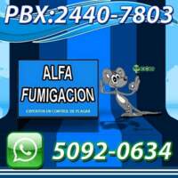 Fumigación Alfa Guatemala