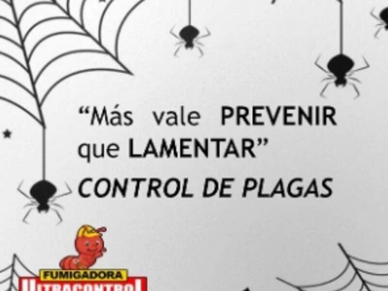 Control de plaga Guatemala