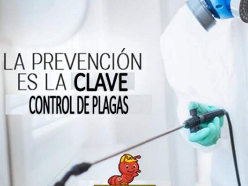 Servicio control  plagas Guadalajara 