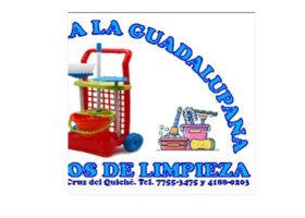 Artículos de limpieza La Guadalupana