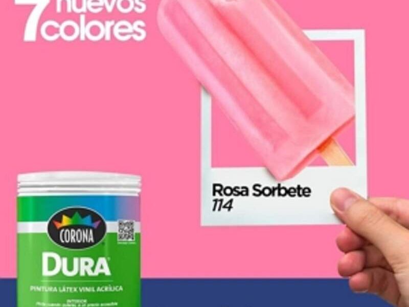 Pintura Rosa Jalapa Paint Center