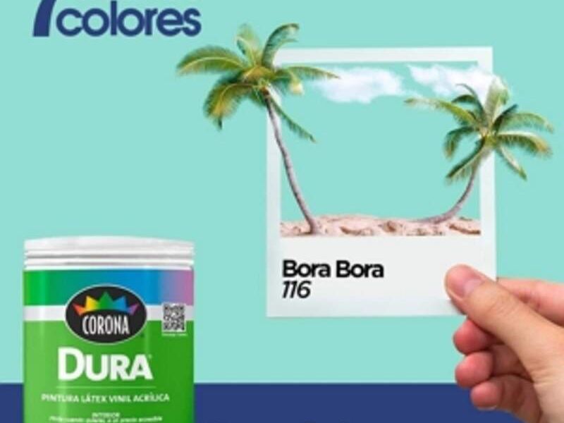 Pintura Bora Bora Jalapa 