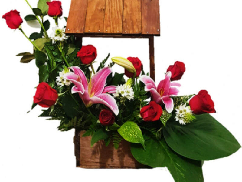 POZO DE AMOR GUATEMALA
