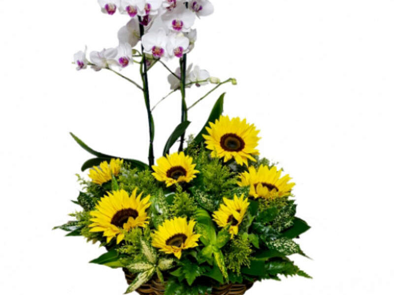 Orquidea con Girasoles Guatemala