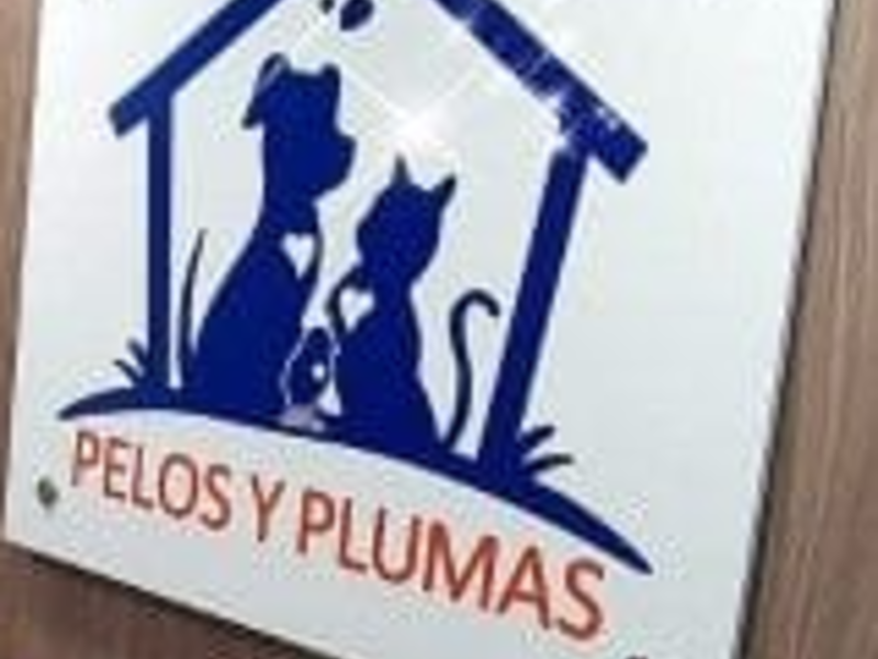Rotulos en acrilico, Mixco Guatemala