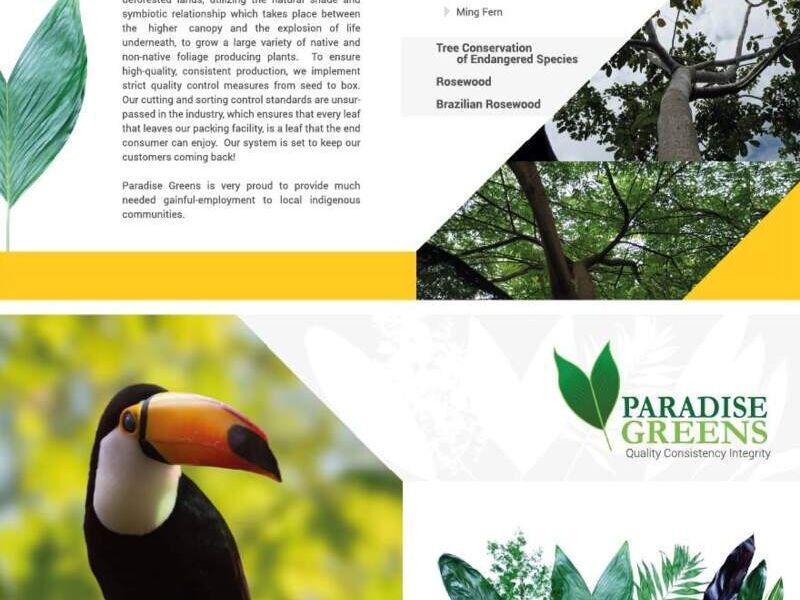 Brochure publicitario antigua Guatemala 