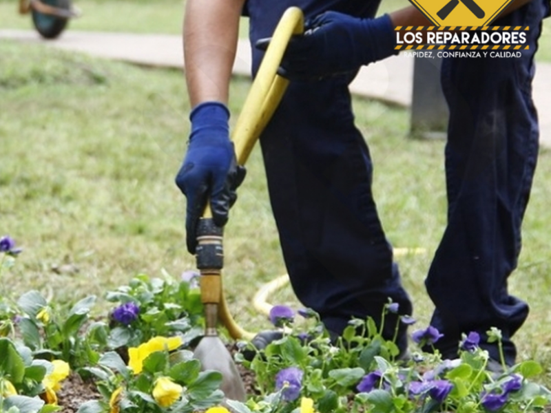 Jardinería Guatemala