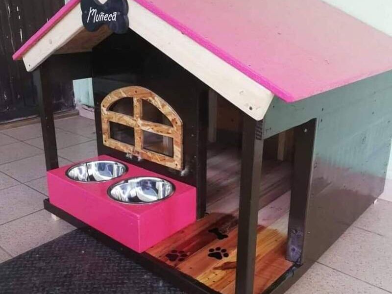 Casa para Mascota Guatemala