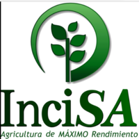 Incisa guatemala