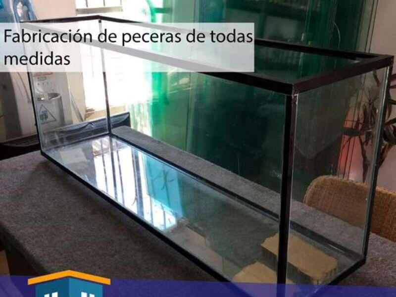 Peceras de vidrio templado 