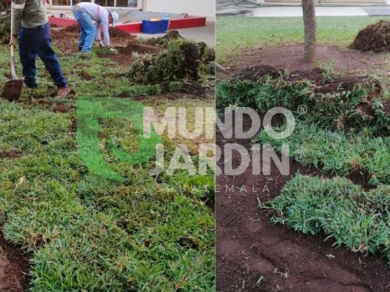 Jardín reparación Guatemala