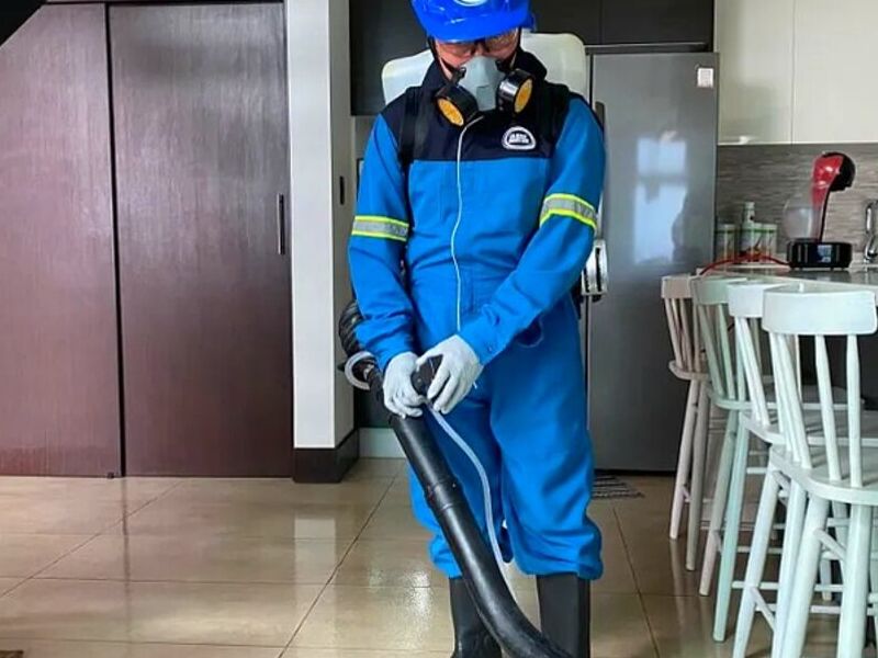 Desinfección profesional